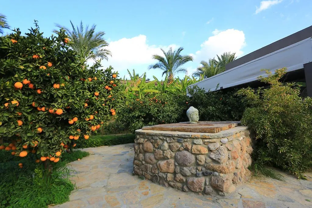 The Lifeco Bodrum Well-Being Detox Center And Vegan Hotel (Adults Only)