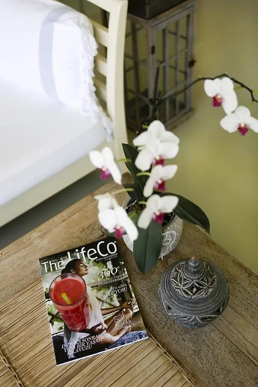 The Lifeco Bodrum Well-Being Detox Center And Vegan Hotel (Adults Only) 3*, Golturkbuku