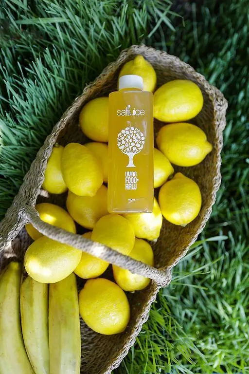 The Lifeco Bodrum Well-Being Detox Center And Vegan Hotel (Adults Only)